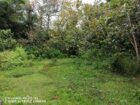 Land for Sale Matara