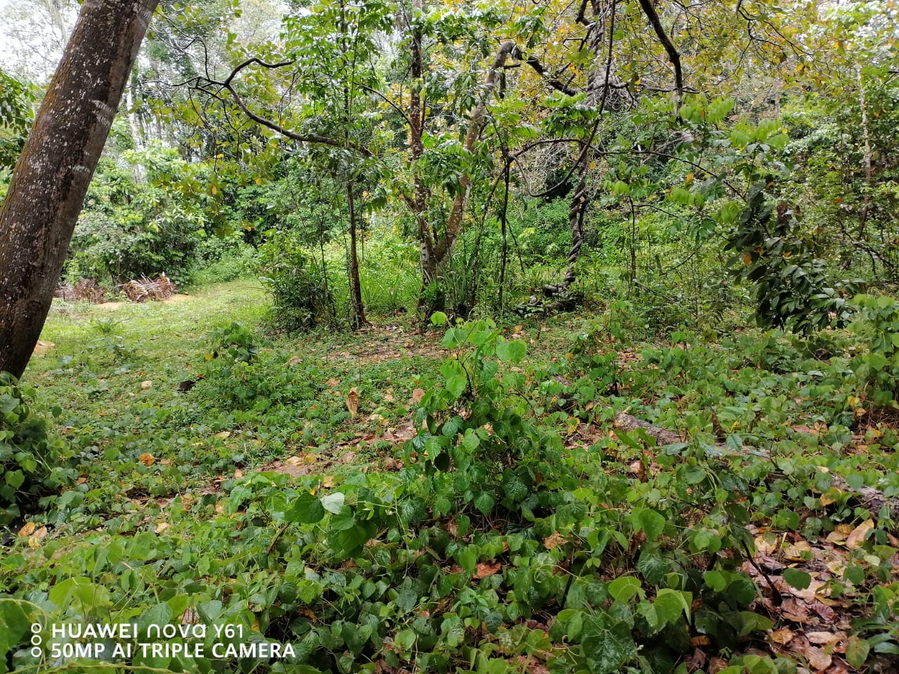 Land for Sale Matara