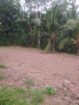 13 Perches Land for Sale Kumbuka, Horana