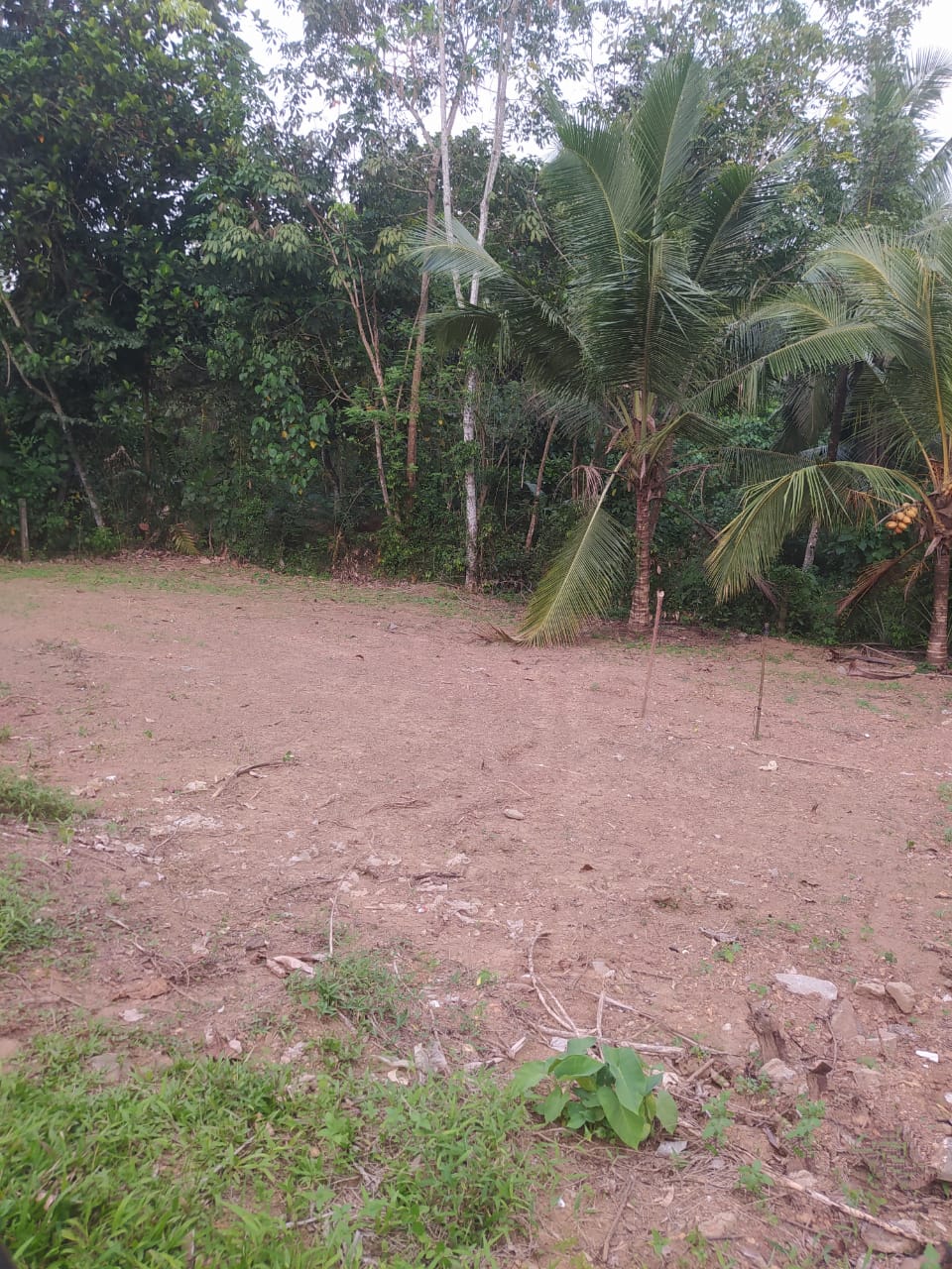 13 Perches Land for Sale Kumbuka, Horana