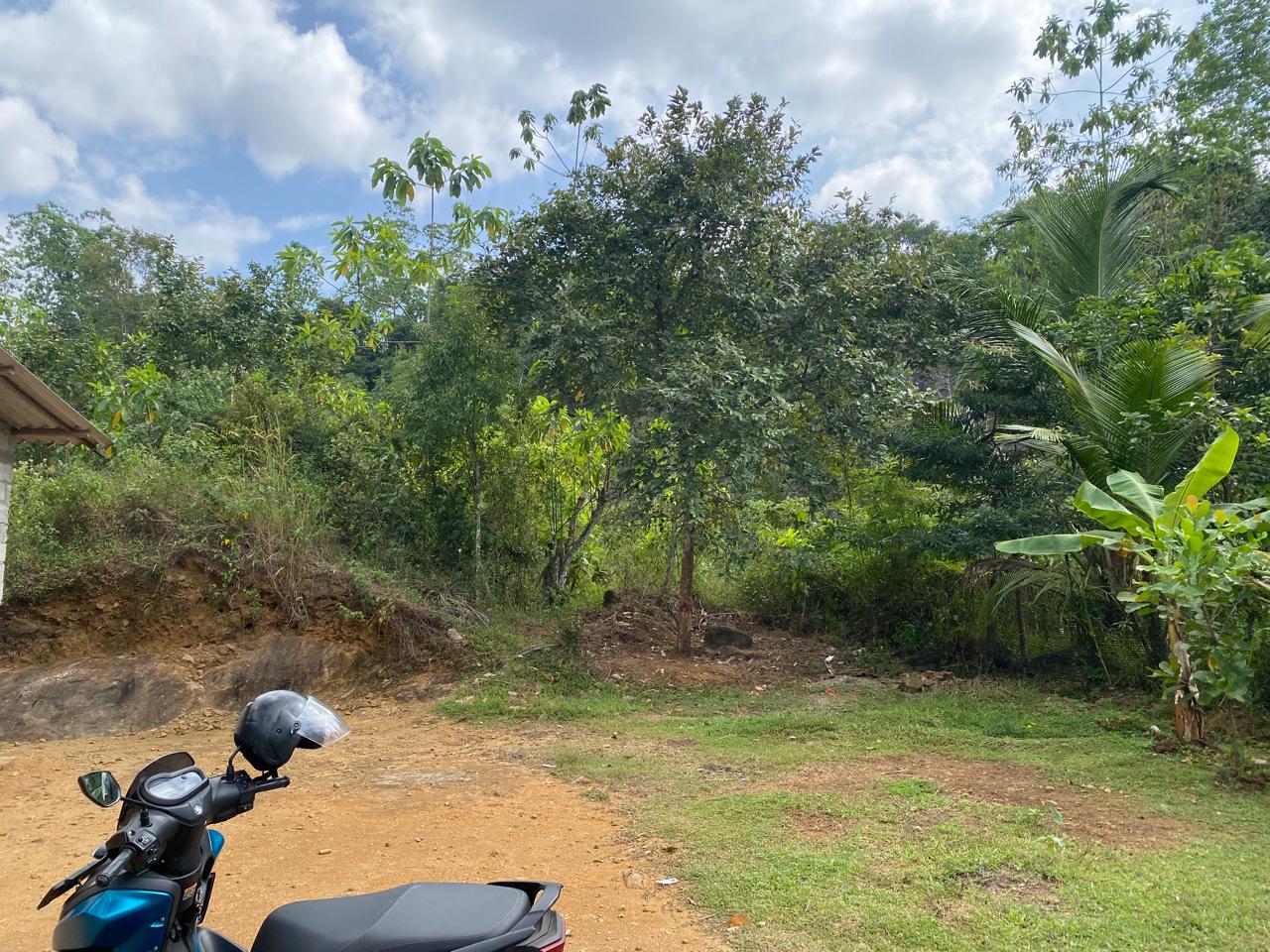 🏡 නිවසක් සමඟ ඉඩම විකිණීමට – දොම්පේ