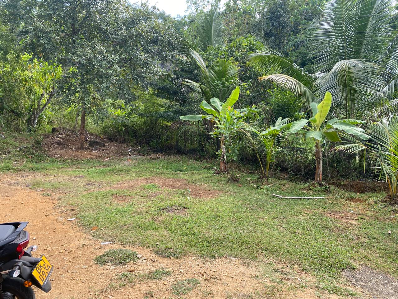 🏡 නිවසක් සමඟ ඉඩම විකිණීමට – දොම්පේ