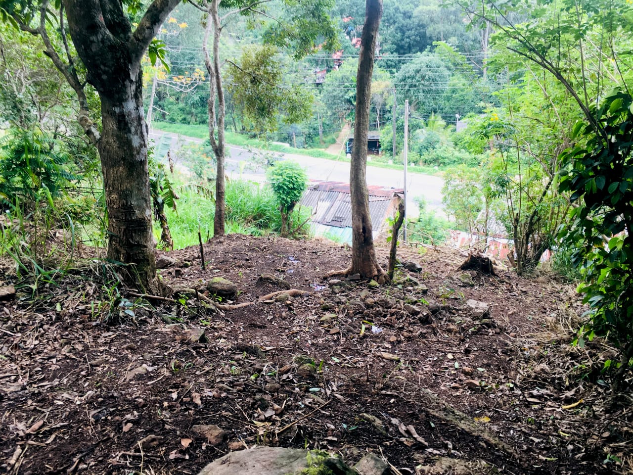 Land for Sale in Haputale