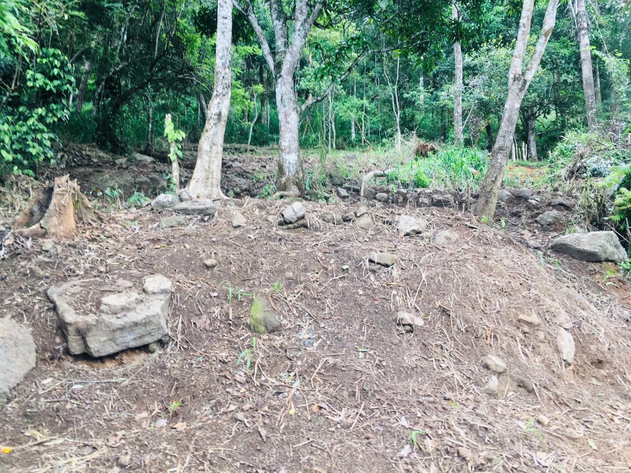 Land for Sale in Haputale