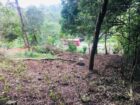 Land for Sale in Haputale