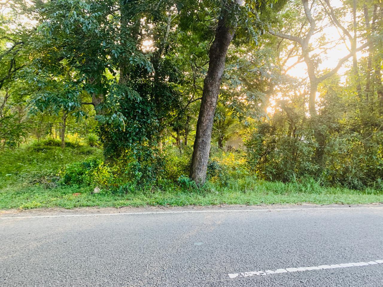 Land for Sale in Pottuvil