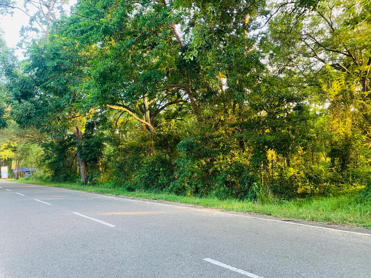 Land for Sale in Pottuvil