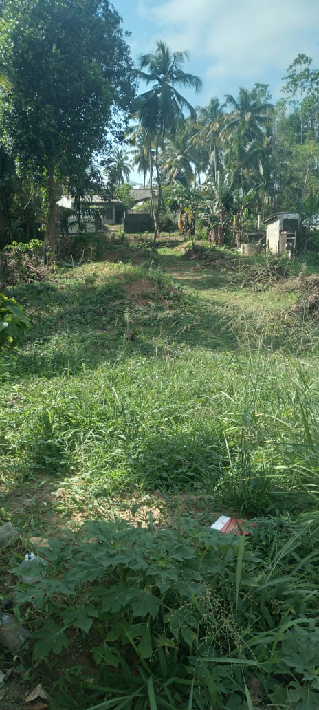 ඉඩම් කොටස් දෙකක් විකිණීමට Meegoda