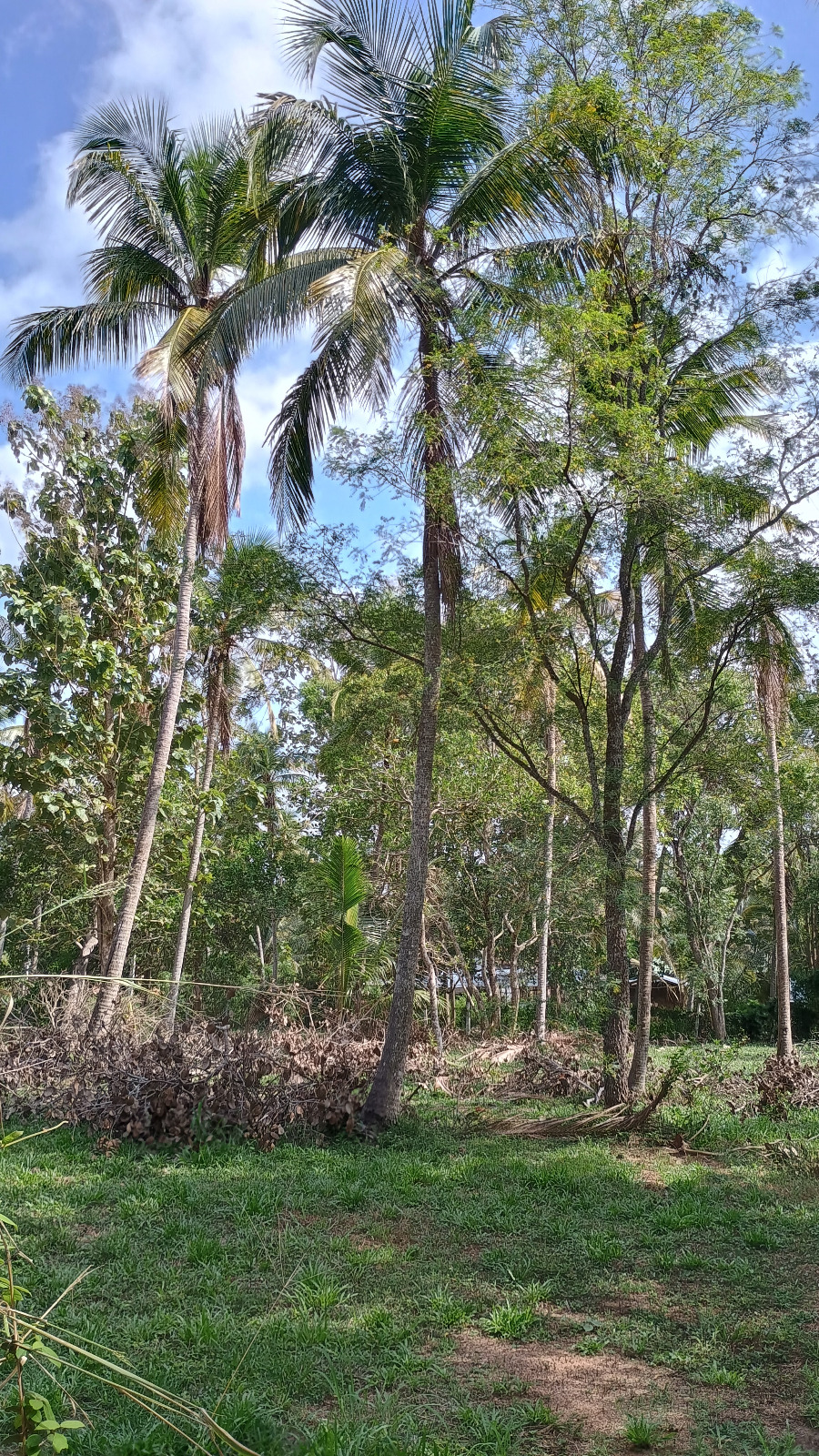 Commercial Land for Sale in Wariyapola.