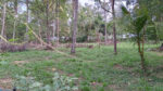 Commercial Land for Sale in Wariyapola.