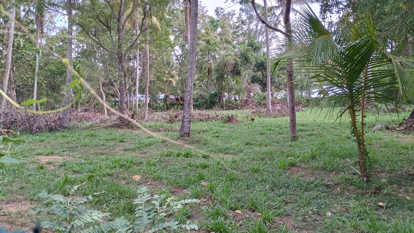 Commercial Land for Sale in Wariyapola.
