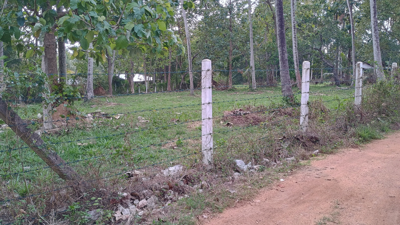 Commercial Land for Sale in Wariyapola.