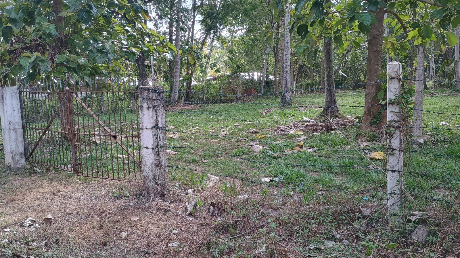 Commercial Land for Sale in Wariyapola.