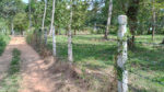 Commercial Land for Sale in Wariyapola.