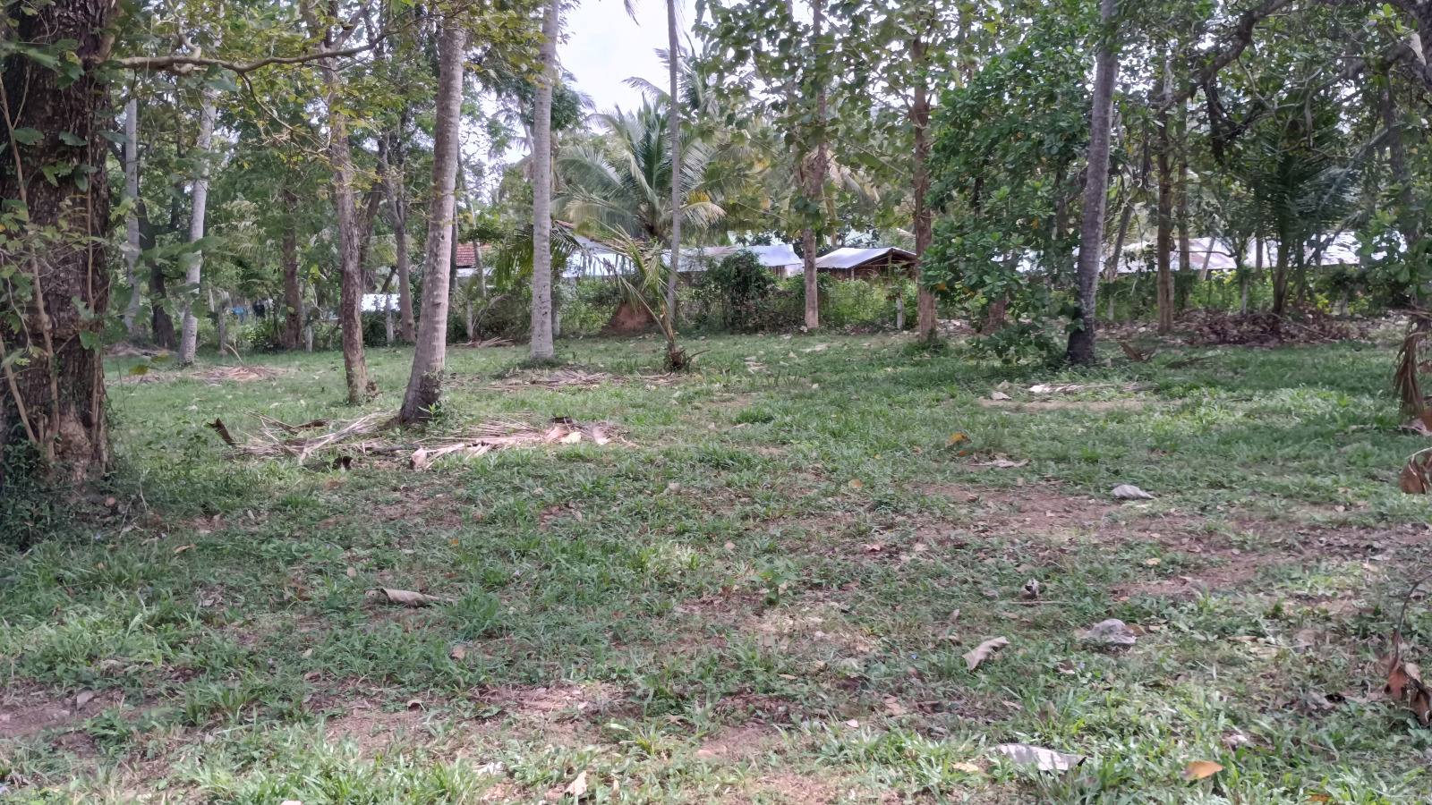 Commercial Land for Sale in Wariyapola.