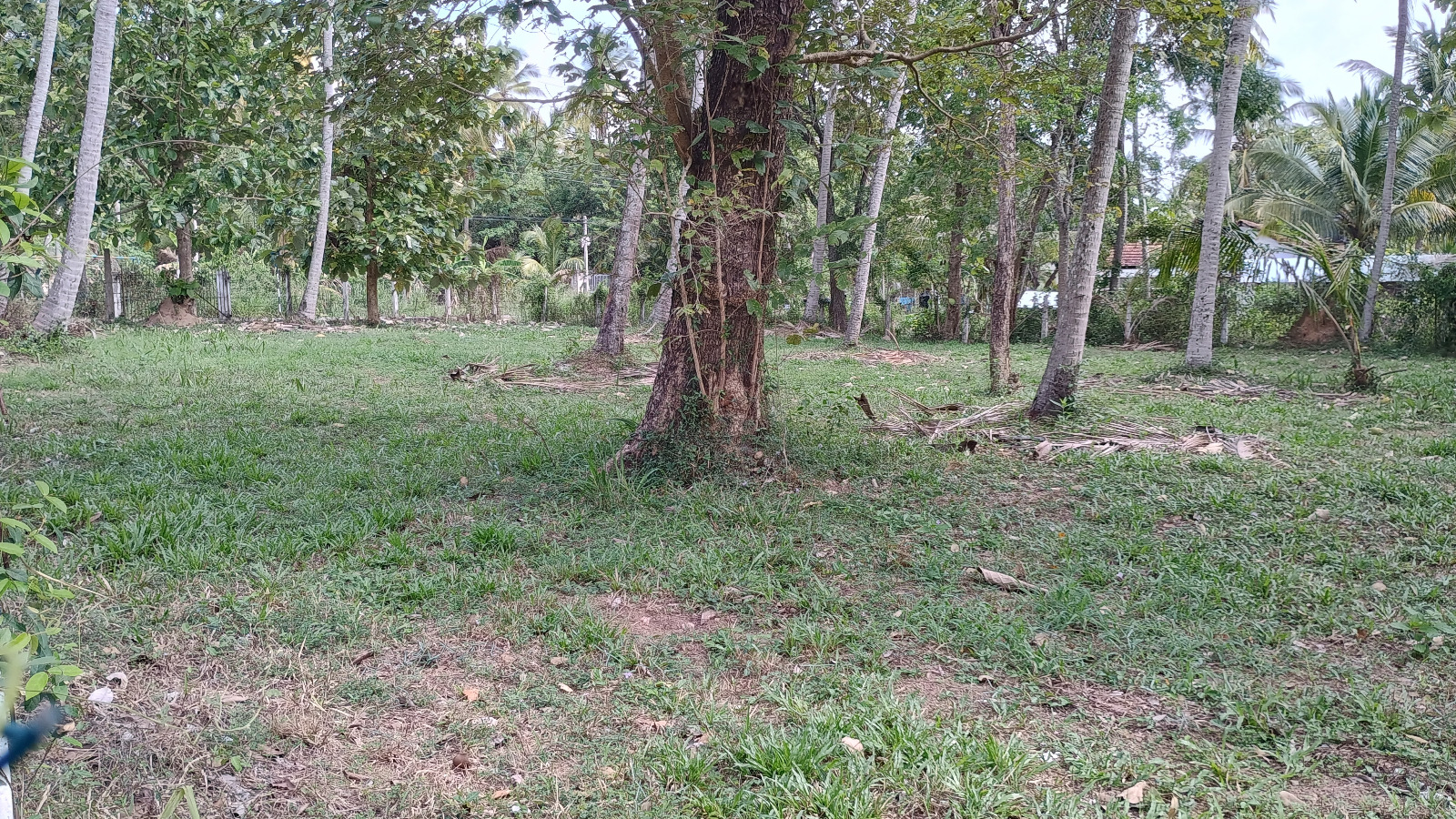Commercial Land for Sale in Wariyapola.
