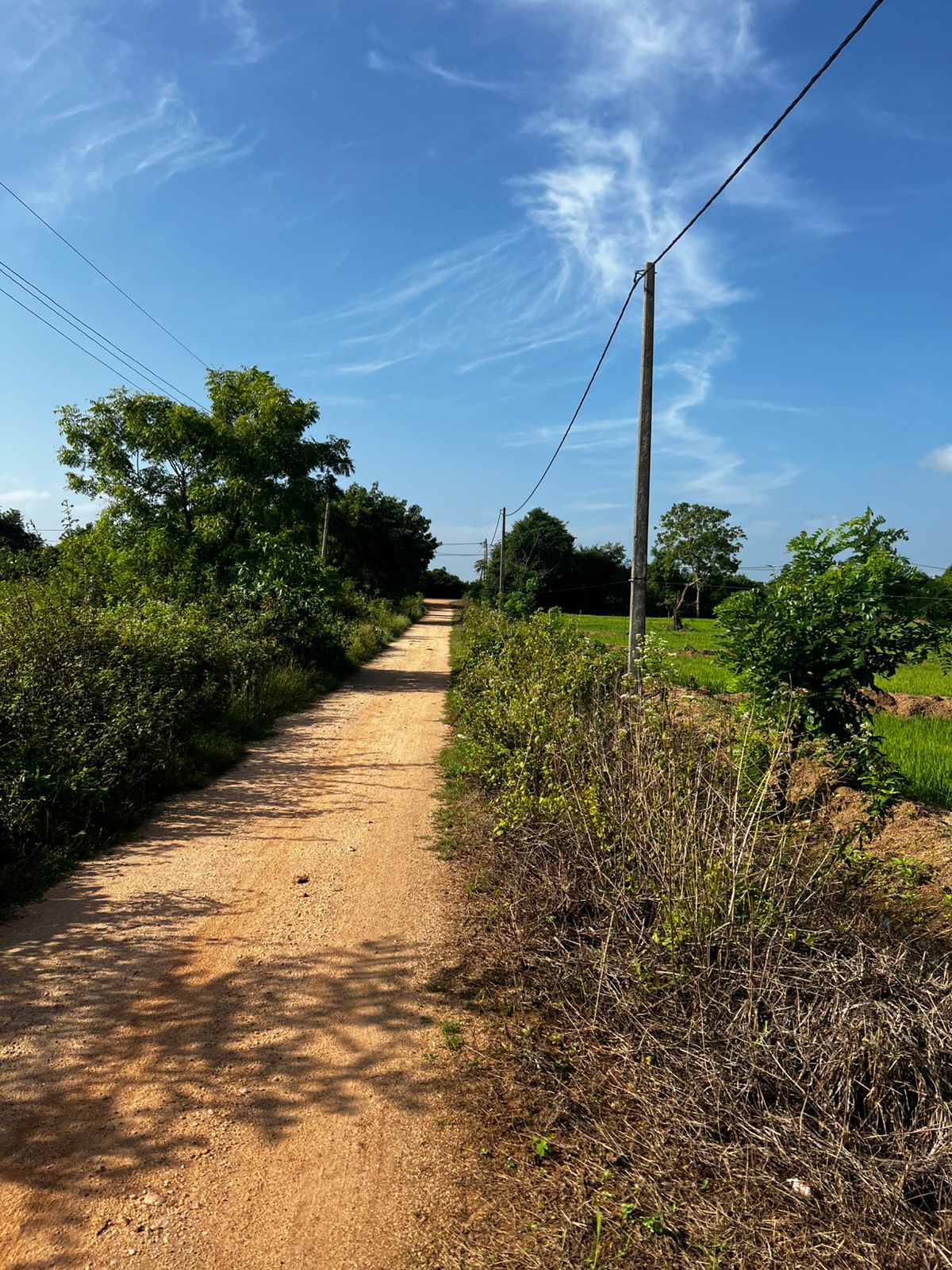 Land for Sale in Kanthale