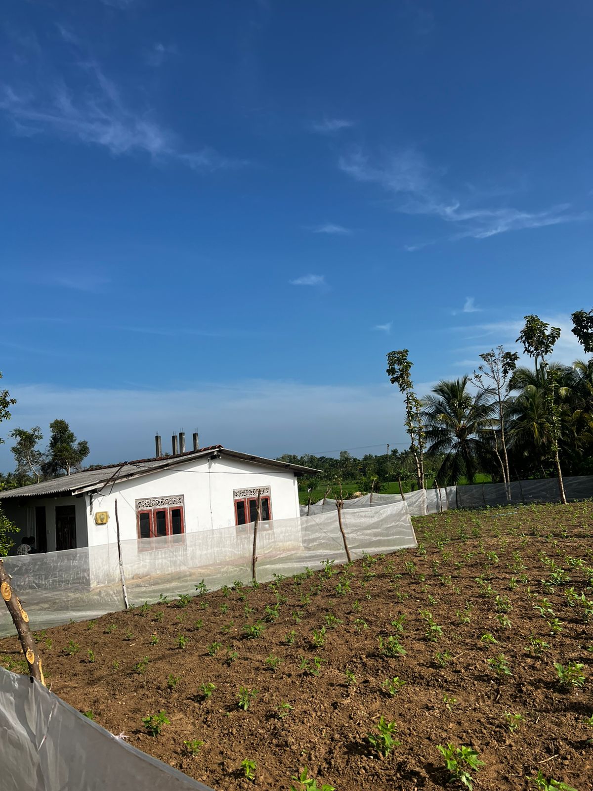 Land for Sale in Kanthale