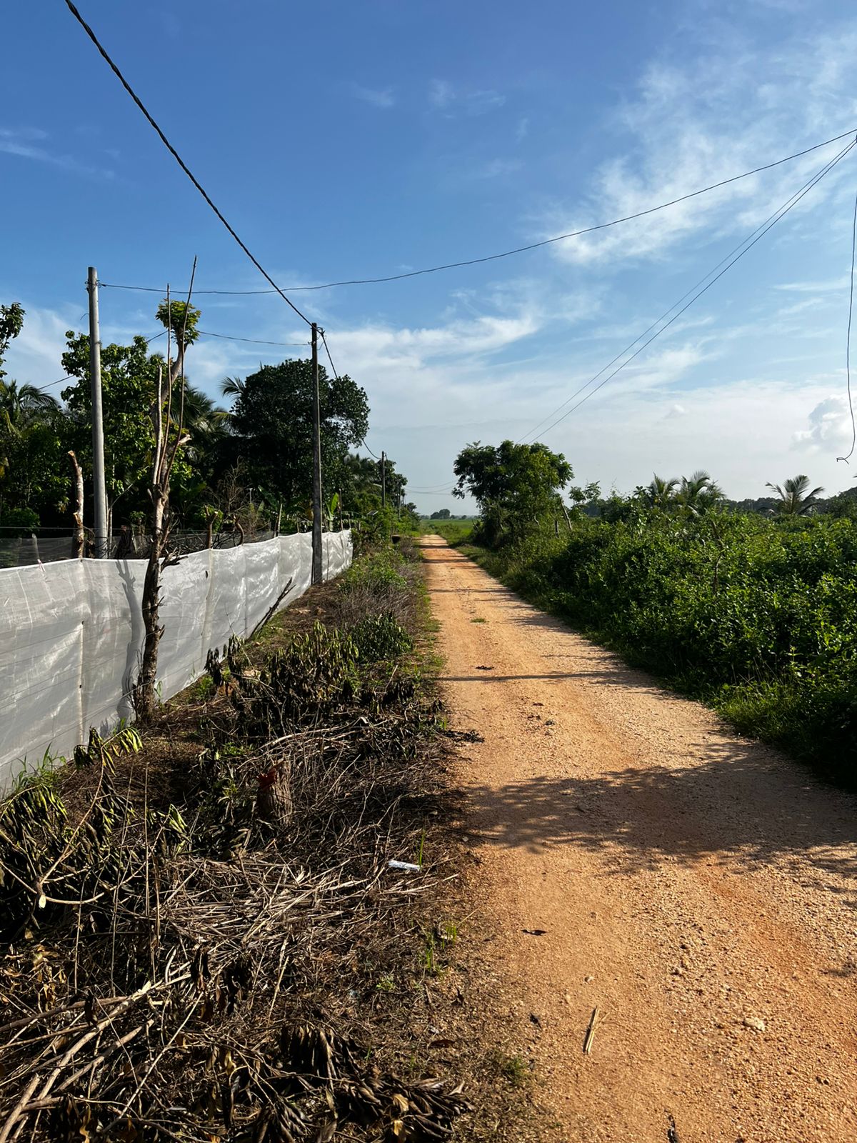 Land for Sale in Kanthale