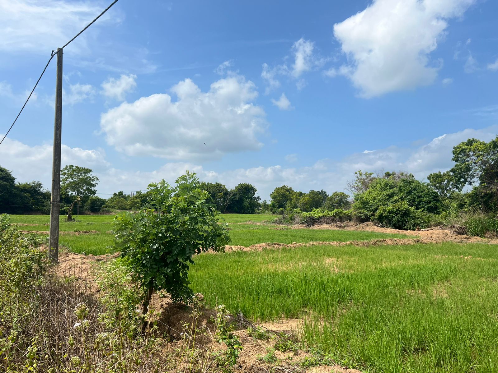 Land for Sale in Kanthale