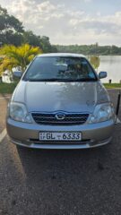 WhatsApp-Image-2026-01-13-at-12.00.28-PM