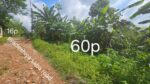 Land for Sale in Kumbuka
