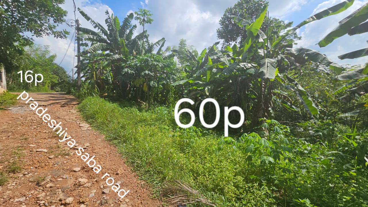 Land for Sale in Kumbuka