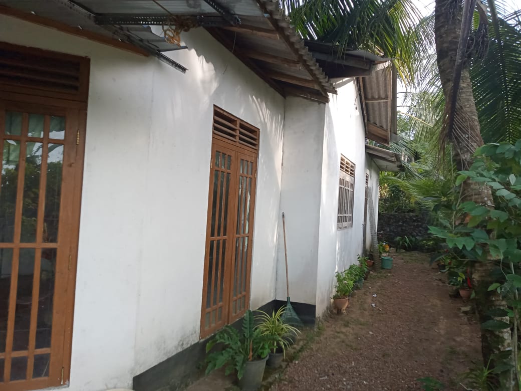 නිවස සමග ඉඩම විකිණීමට හෝමාගම – මීගොඩ පුවක්වත්ත පාර