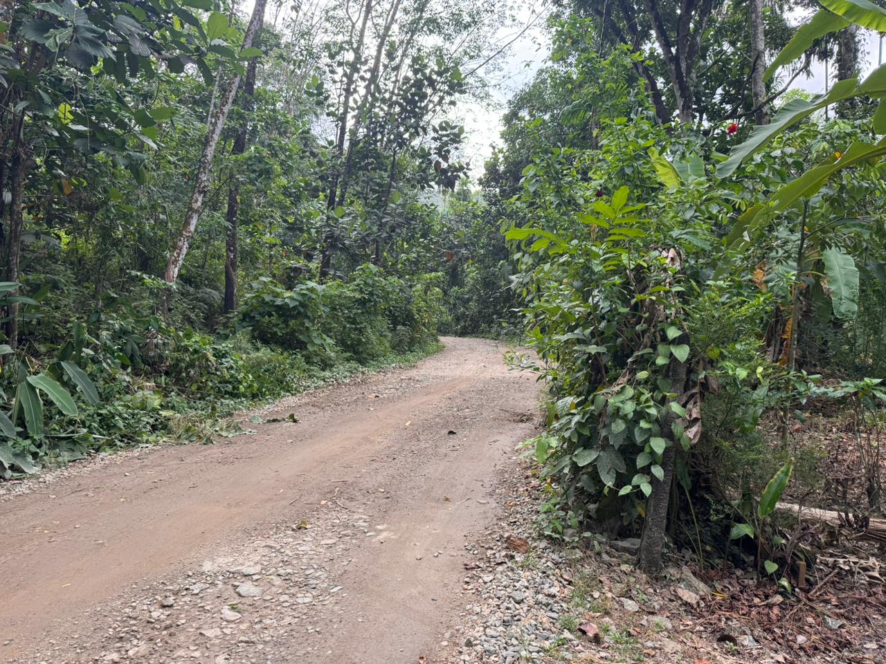 7 Acre Land with Valuable Black Stone Quarry – Hanwella