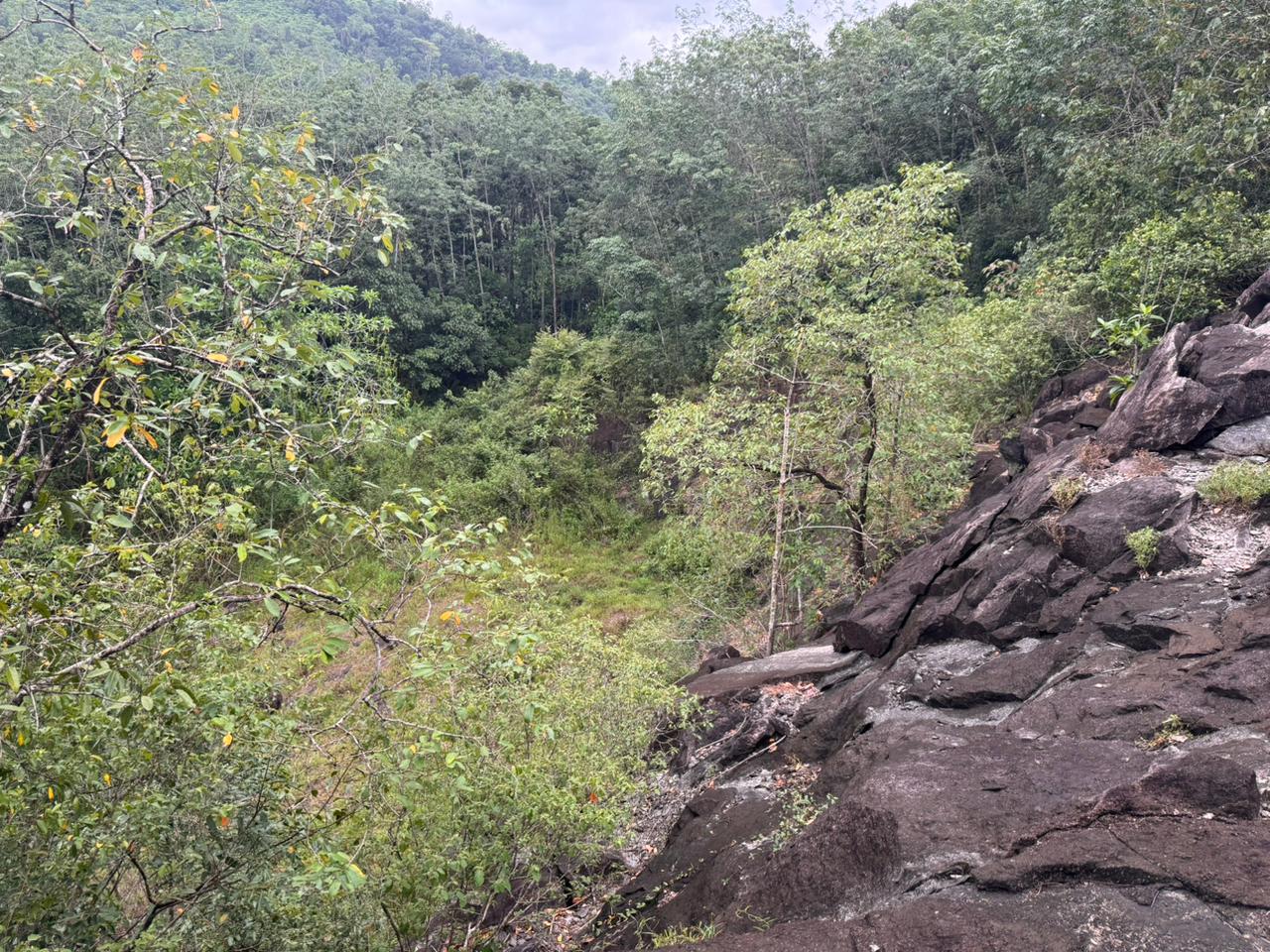 7 Acre Land with Valuable Black Stone Quarry – Hanwella