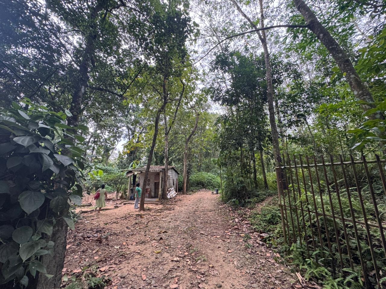 7 Acre Land with Valuable Black Stone Quarry – Hanwella