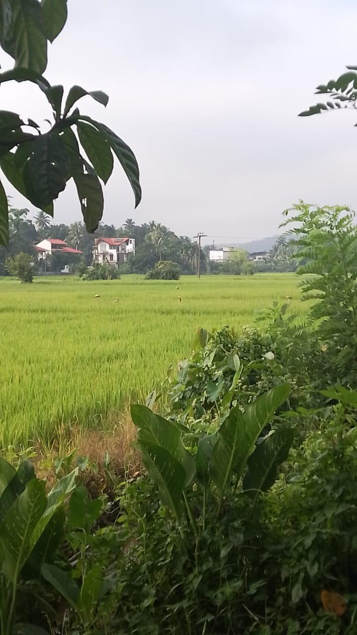 Land for Sale in Horana