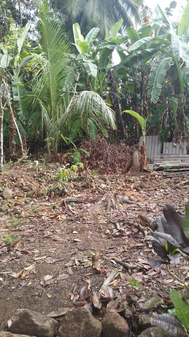 Land for Sale in Horana