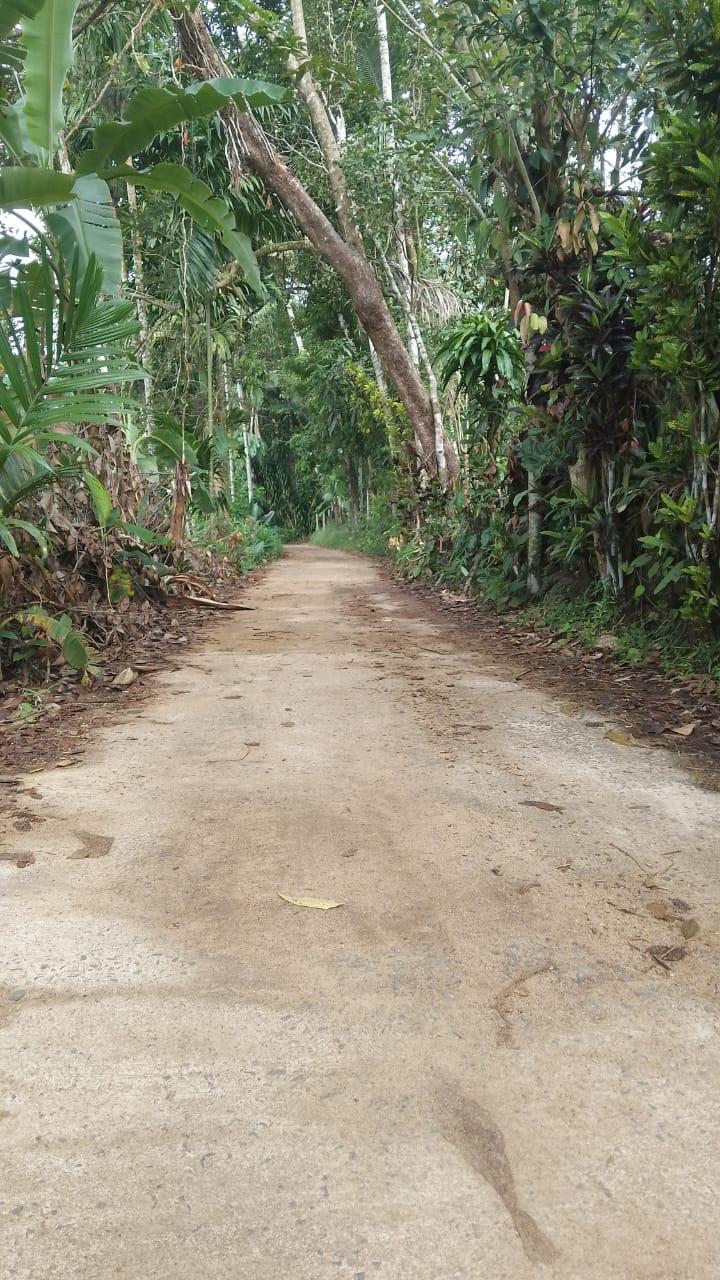 Land for Sale in Horana