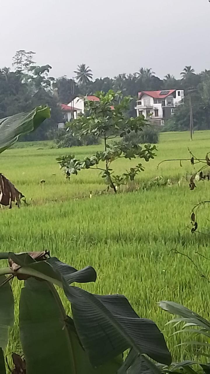 Land for Sale in Horana