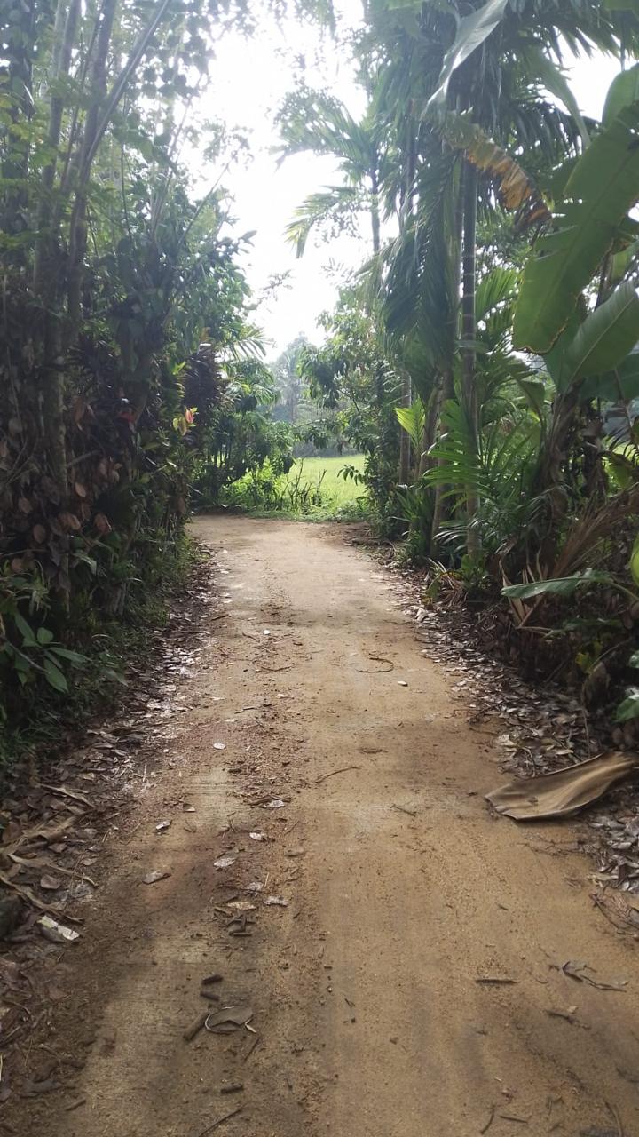 Land for Sale in Horana