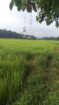 Land for Sale in Horana