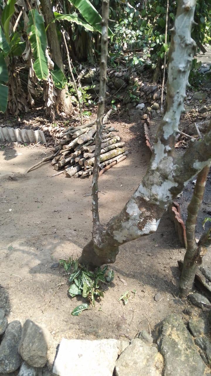 Land for Sale in Horana