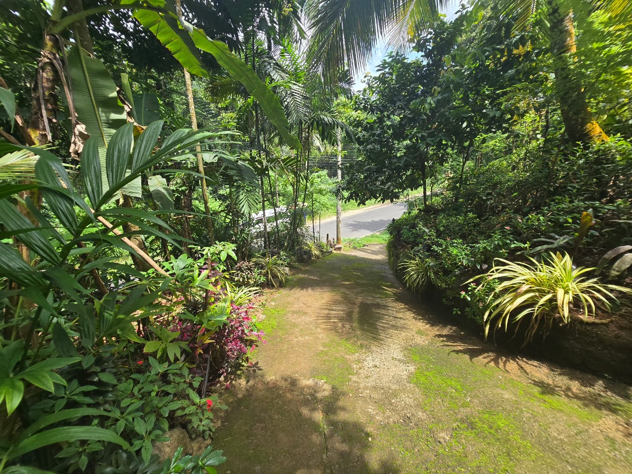 දෙමහල් නිවස සහිත ඉඩමක් විකිණීමට කිතුල්ගල