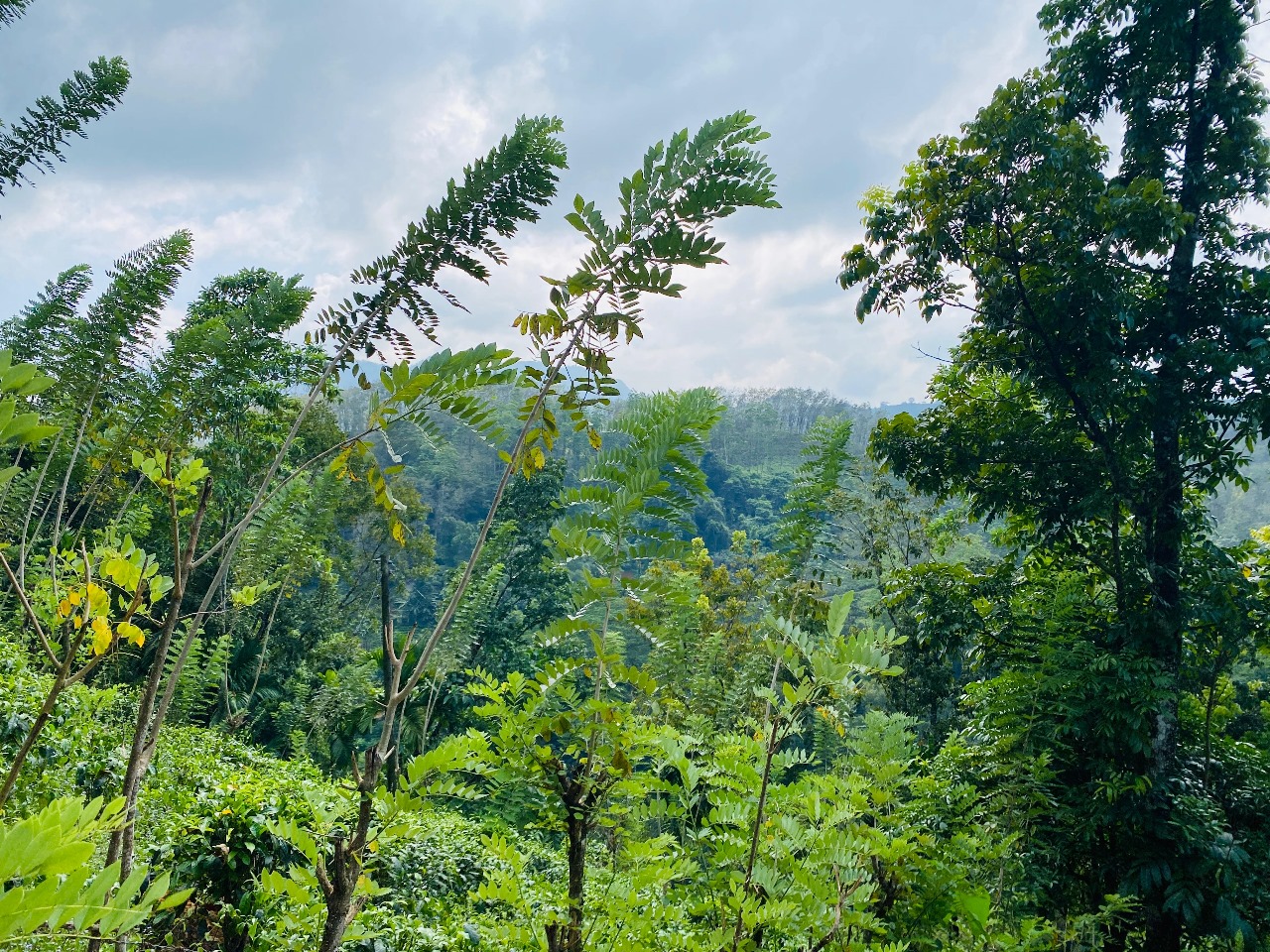 දෙමහල් නිවස සහිත ඉඩමක් විකිණීමට කිතුල්ගල