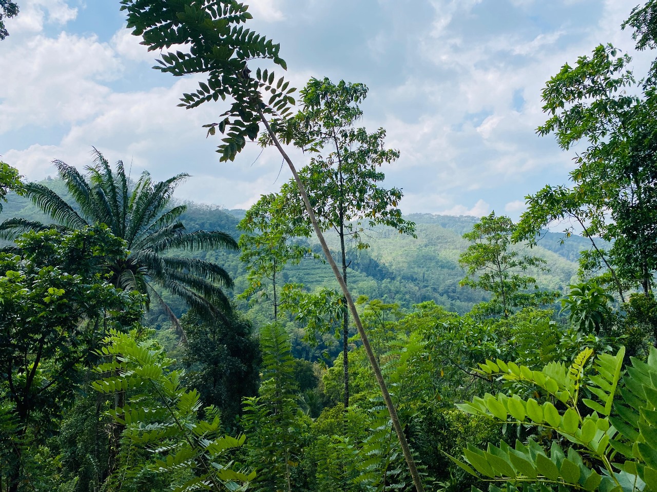 දෙමහල් නිවස සහිත ඉඩමක් විකිණීමට කිතුල්ගල
