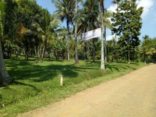 WhatsApp-Image-2026-01-19-at-11.12.19-1