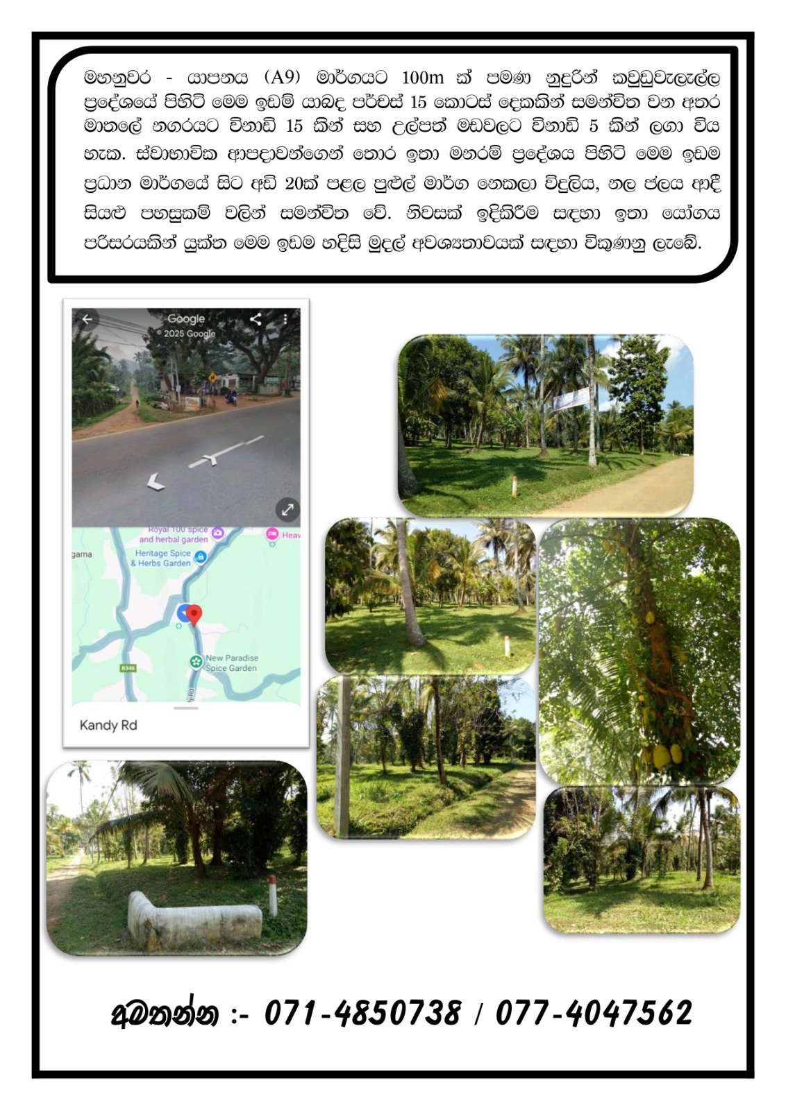 Residential Land for Sale palathathwala