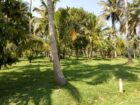 Residential Land for Sale palathathwala