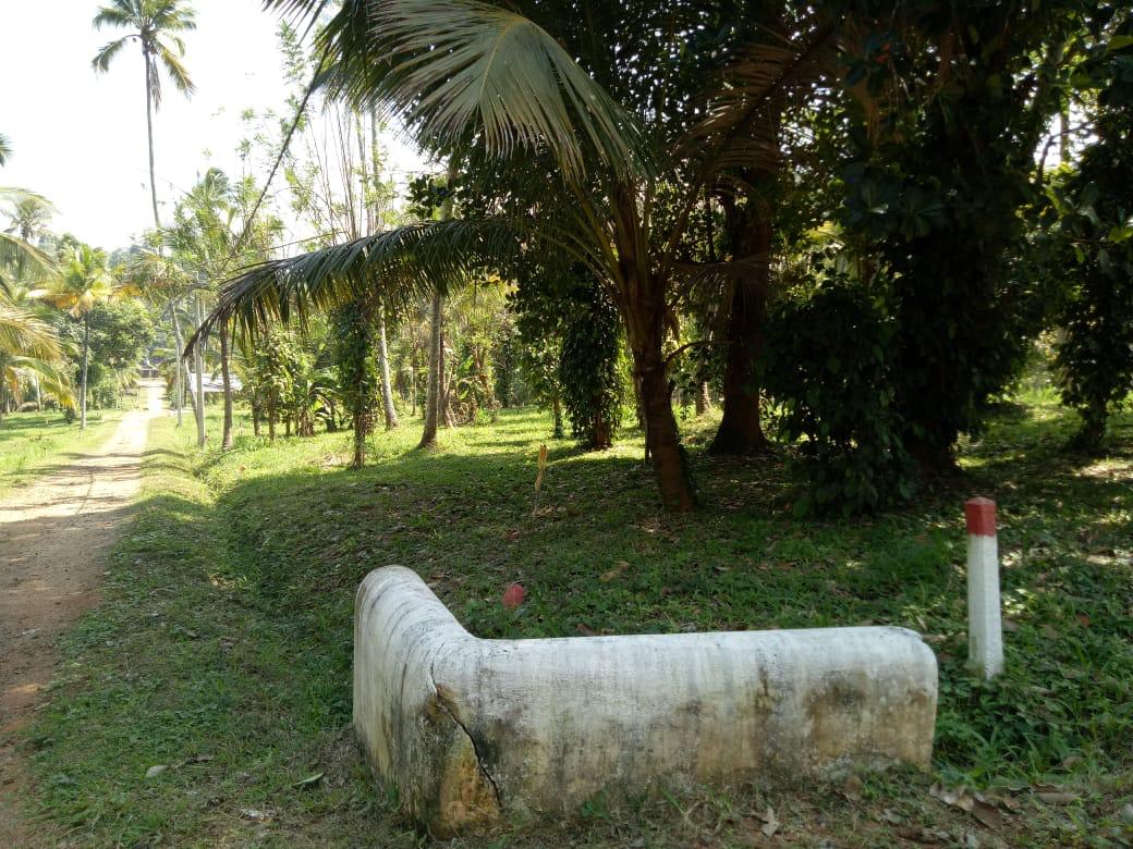 Residential Land for Sale palathathwala