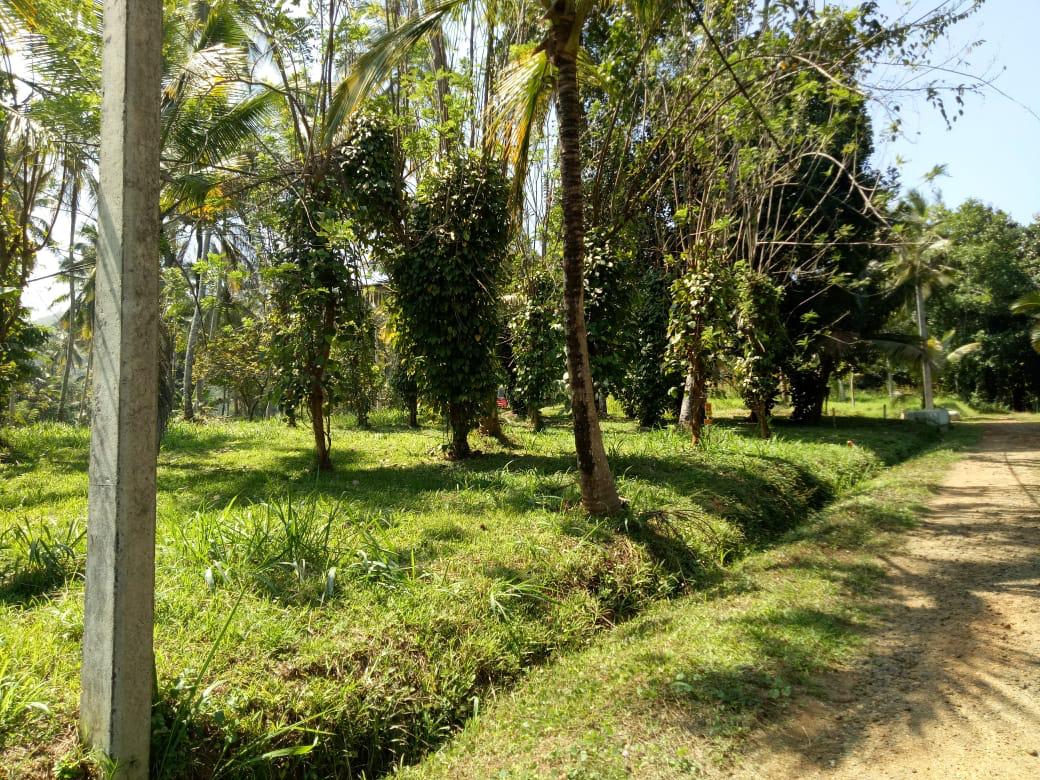 Residential Land for Sale palathathwala