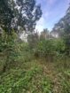 Land for Sale Near Karapitiya