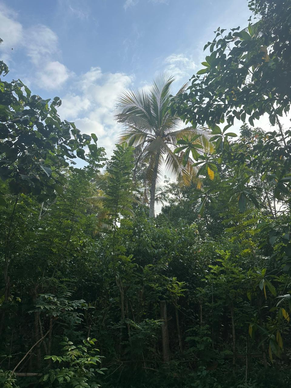 Land for Sale Near Karapitiya