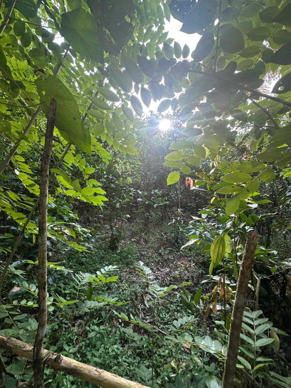 Land for Sale Near Karapitiya