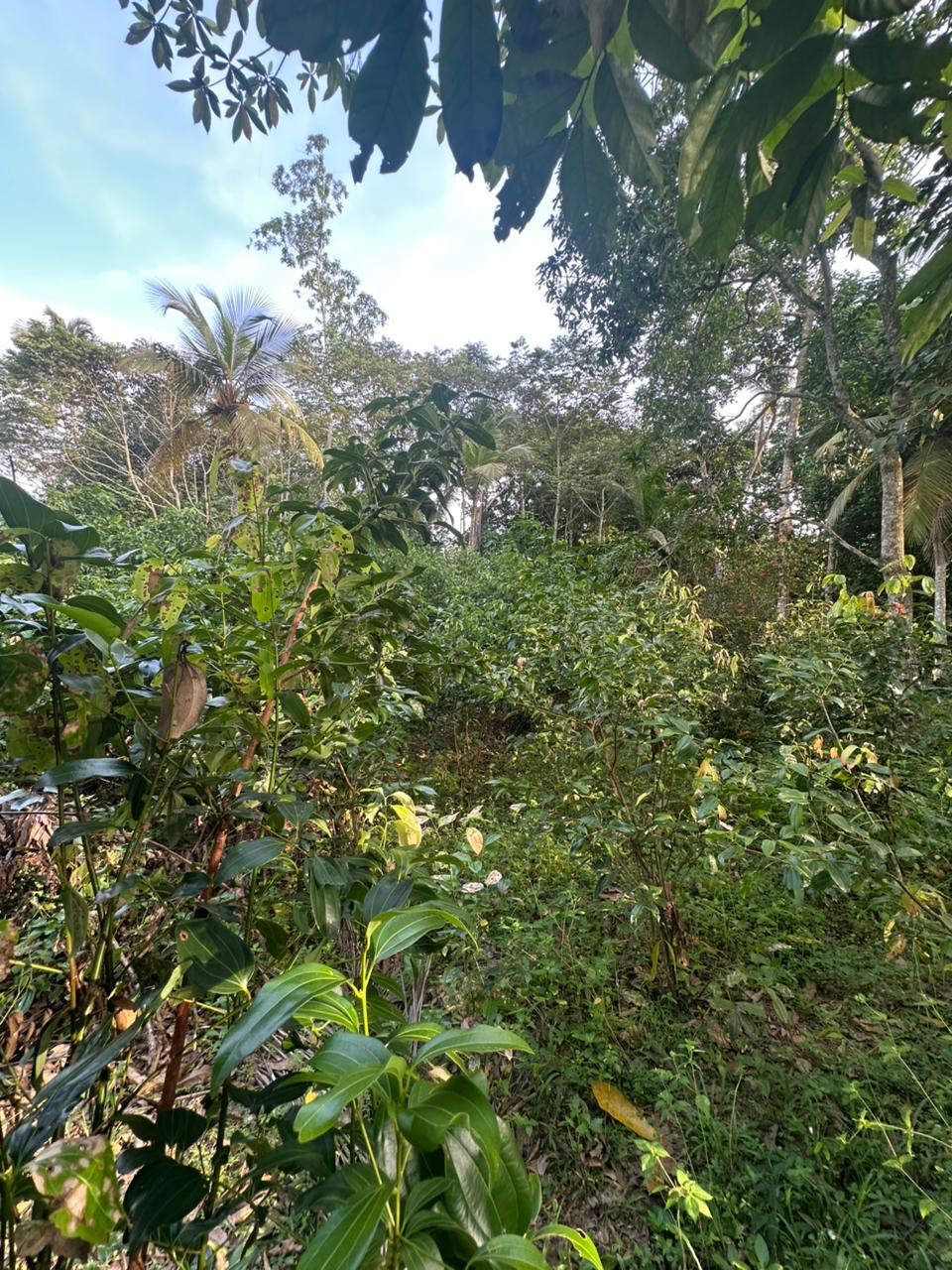 Land for Sale Near Karapitiya